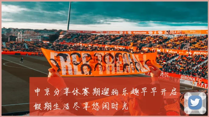 申京分享休赛期遛狗乐趣早早开启假期生活尽享悠闲时光