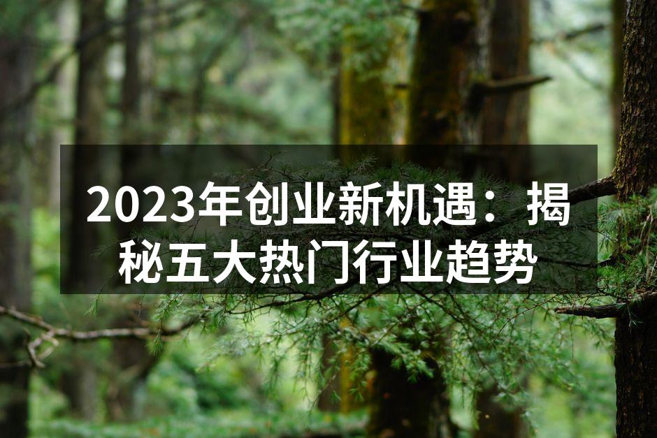2023年创业新机遇：揭秘五大热门行业趋势
